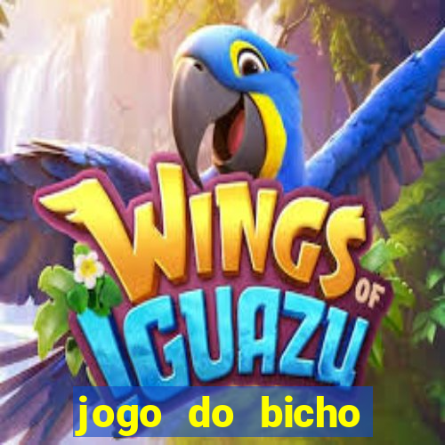 jogo do bicho banca ouro verde